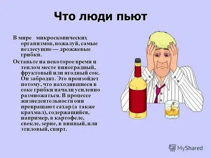 Почему когда пьют не едят
