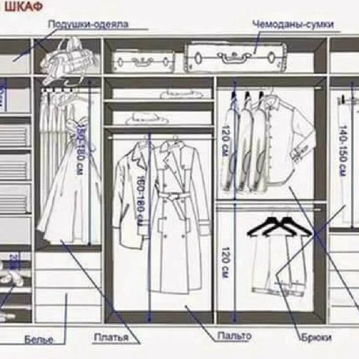 Какой глубины должен быть шкаф. Гардеробная Размеры. Гардеробные Размеры. Планировка гардеробного шкафа купе. Эргономика шкафа для верхней одежды.