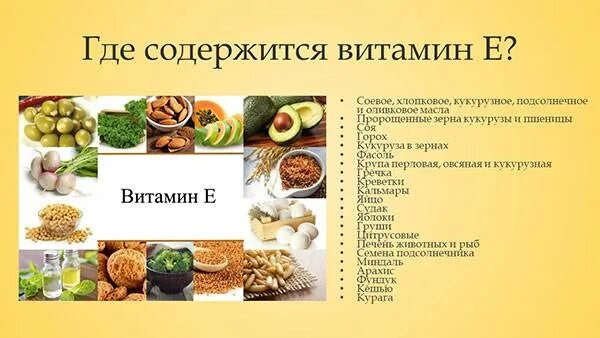 Какие продукты содержат витамин е. Витамин е в каких продуктах. витамин е в каких продуктах содержится больше. продукты богатые витамином е таблица. продукты богатые витамином е список продуктов.