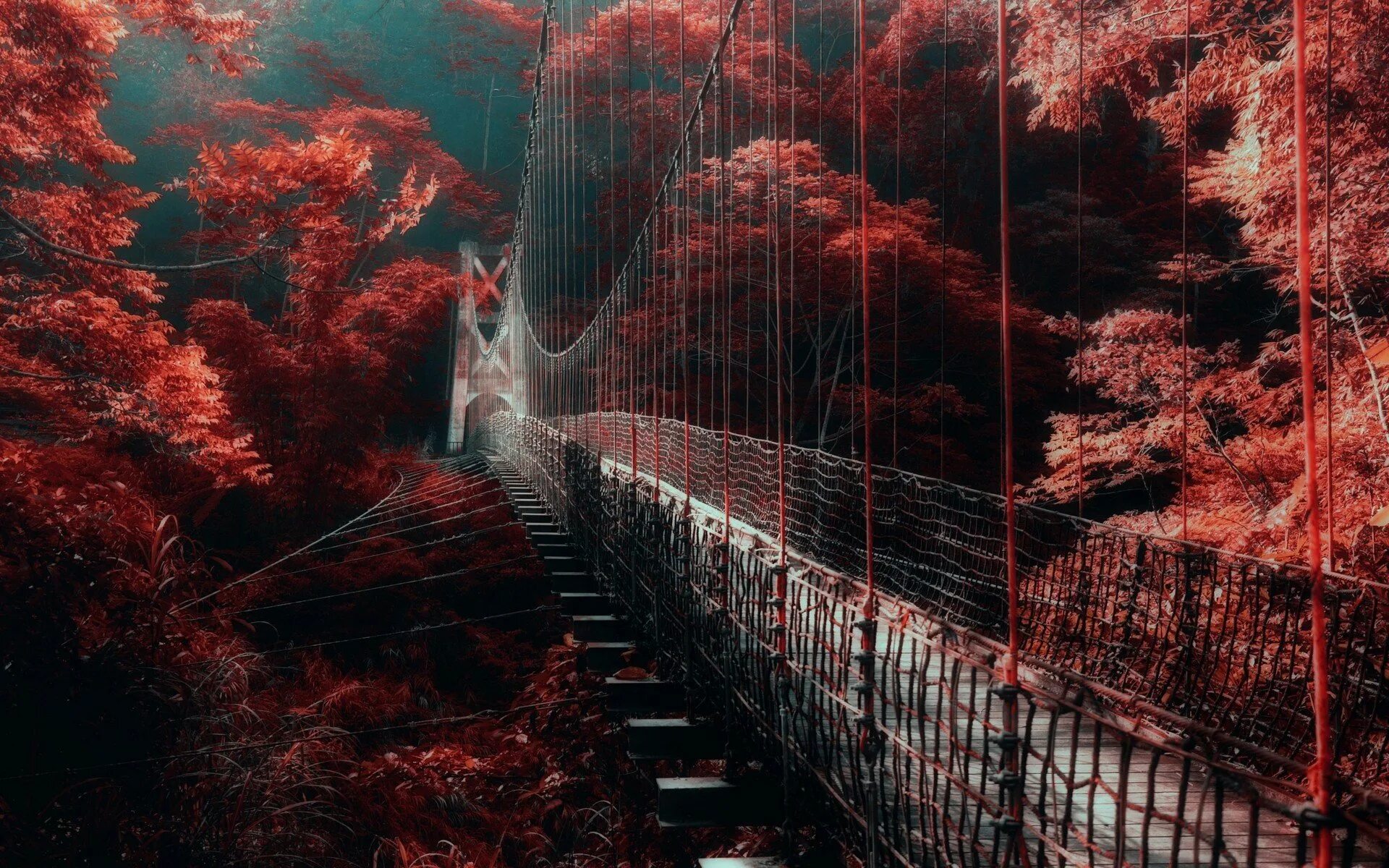 Потрясающие фоны