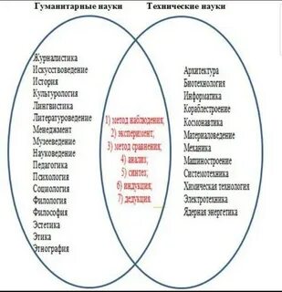 Информатика гуманитарная наука