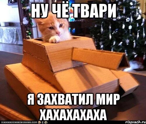 Как захватить мир. Захватить мир мем. я захвачу мир мем.