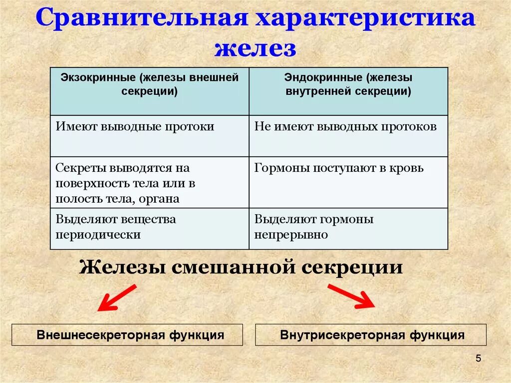 Общая характеристика желез внешней секреции. Чем отличается железо внутренней секреции от желез внешней секреции. Железы внешней секреции отличаются от желёз. Отличие желез внутренней секреции от желез внешней секреции. Чем характеризуются железы смешанной секреции