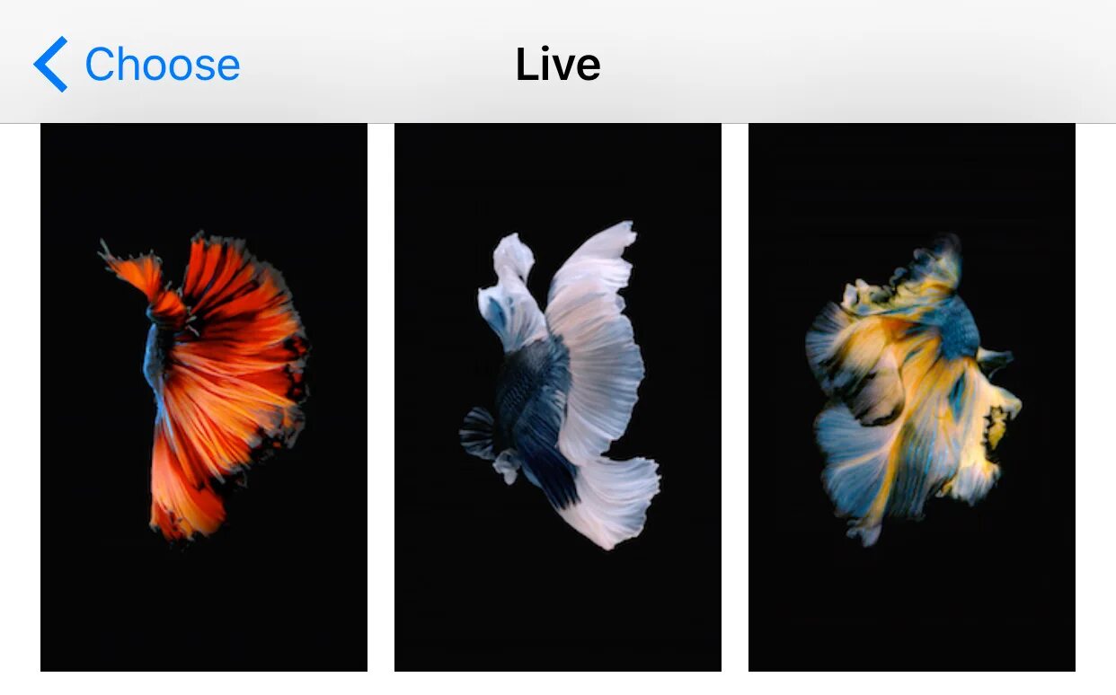Live обои айфон. Live обои для iphone. Живые айфоновские обои. Обои iphone 6s. 3d Touch обои оригинальные.