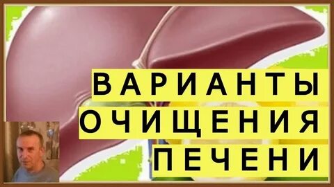 Чистка печени по дням