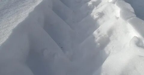 Белый снег белый лед