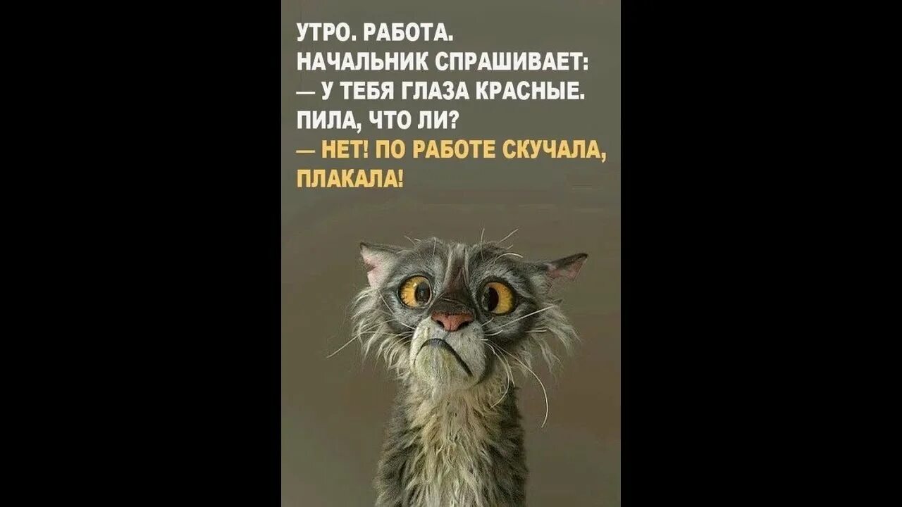 По работе скучала плакала. Утро на работе. Нет по работе скучала плакала. По работе скучала плакала картинки. Когда вышел альбом скучаю но работаю