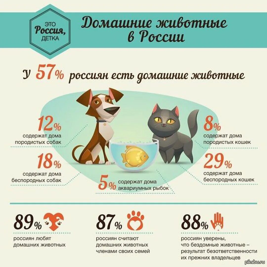 Процент владельцев