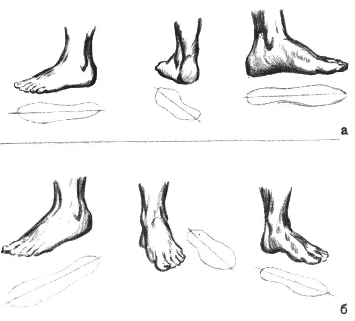Стопа спереди. Рисование стопы. Ступня человека. Стопа в профиль рисунок. Ноги рисунок.