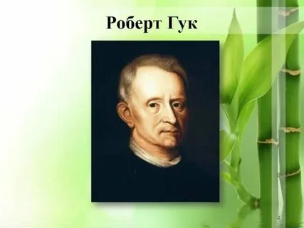 Гук м ю