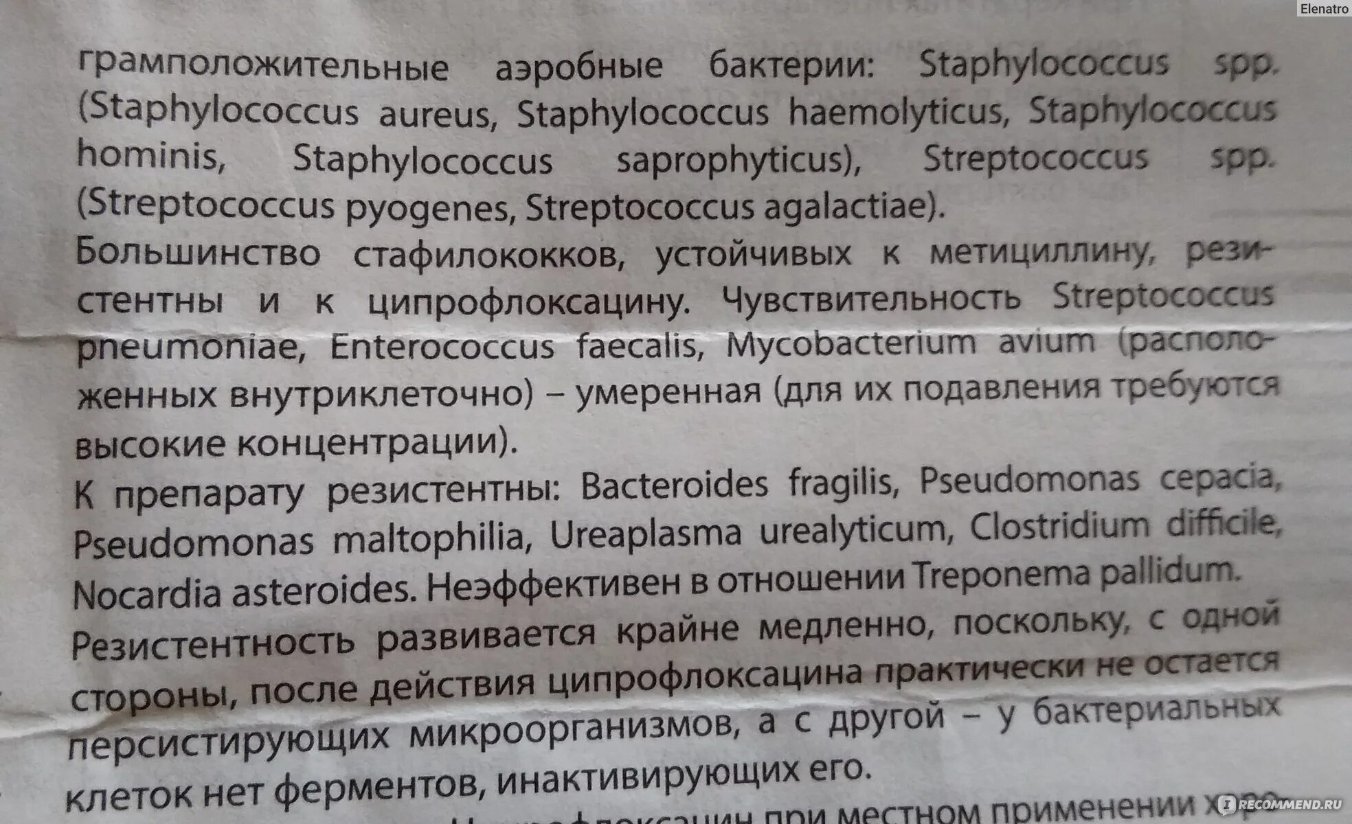 Ципрофлоксацин реневал капли. Ципрофлоксацин реневал инструкция. Глазные Ципрофлоксацин капли инструкция взрослым. Ципрофлоксацин бактерии.