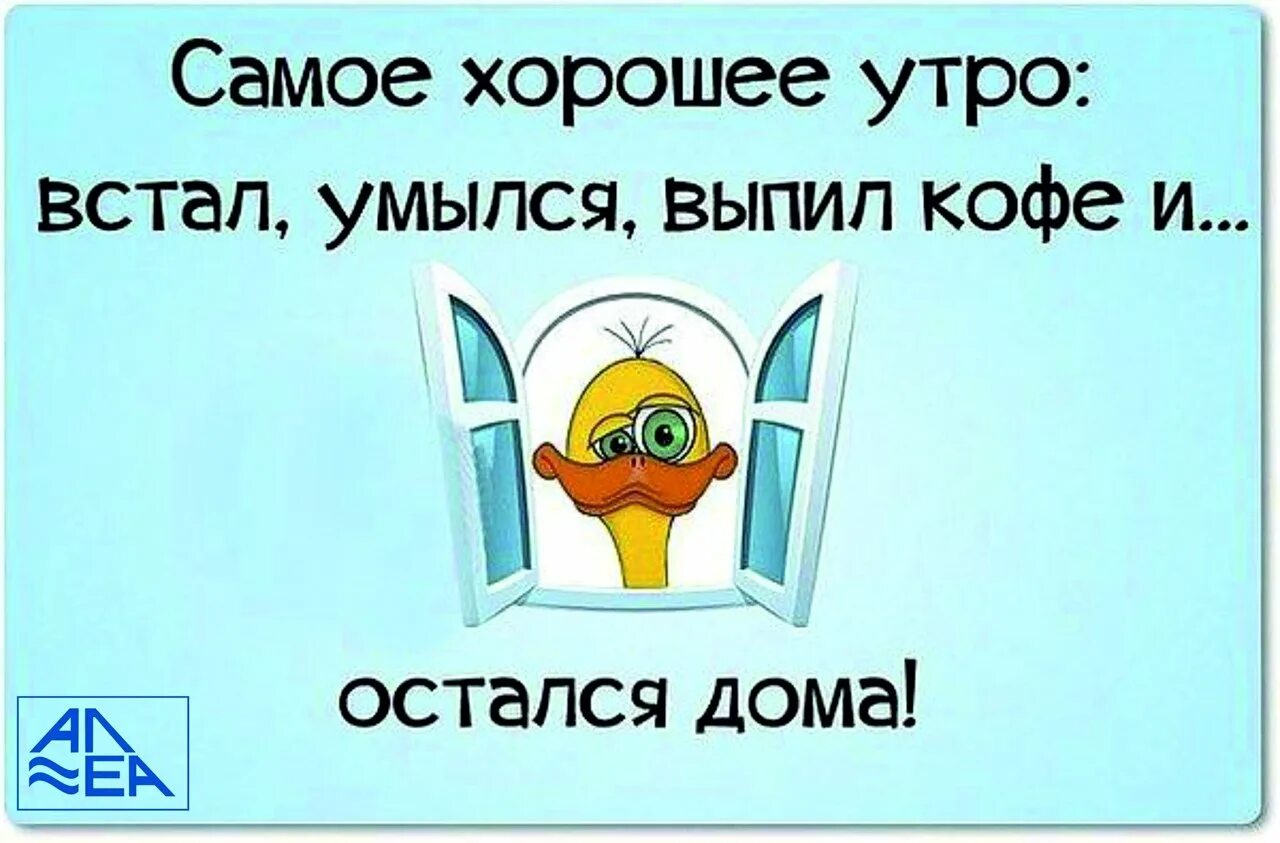 Он уже открыл рот и привстал. Доброе утро юмор. Утренние приколы в картинках. Доброе утро прикол. Доброе утро смешные картинки.