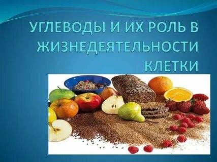 Углеводы в живых организмах