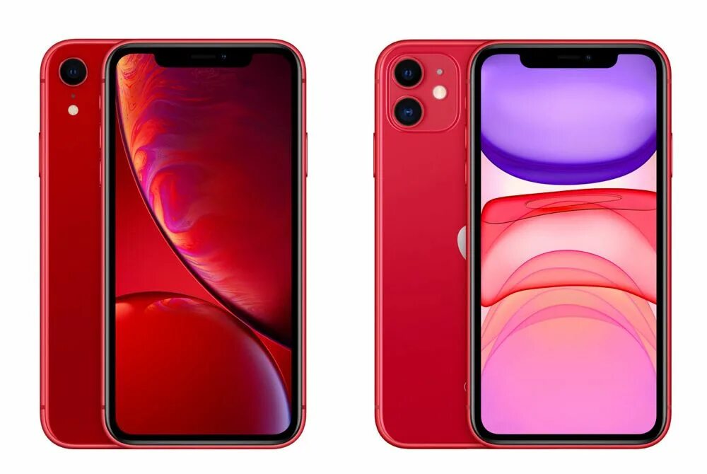 Iphone 11 XR. Айфон хр и айфон 11. Iphone 11 vs XR. Iphone XR 64 iphone 11.