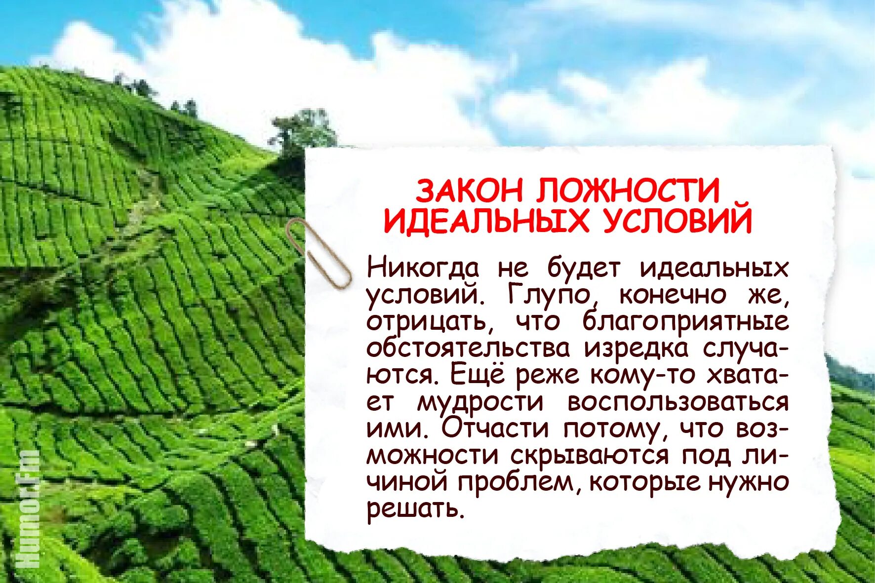 Идеальных условий не бывает. Никогда не будет идеальных условий. Закономерности жизни. Закон жизни. Что в идеальных условиях будет