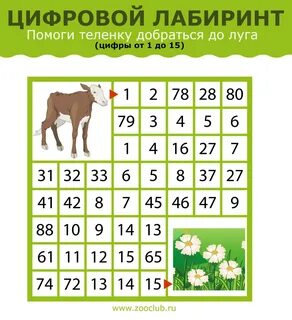 Лабиринт цифра 5