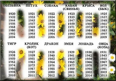 Год кого был 1987