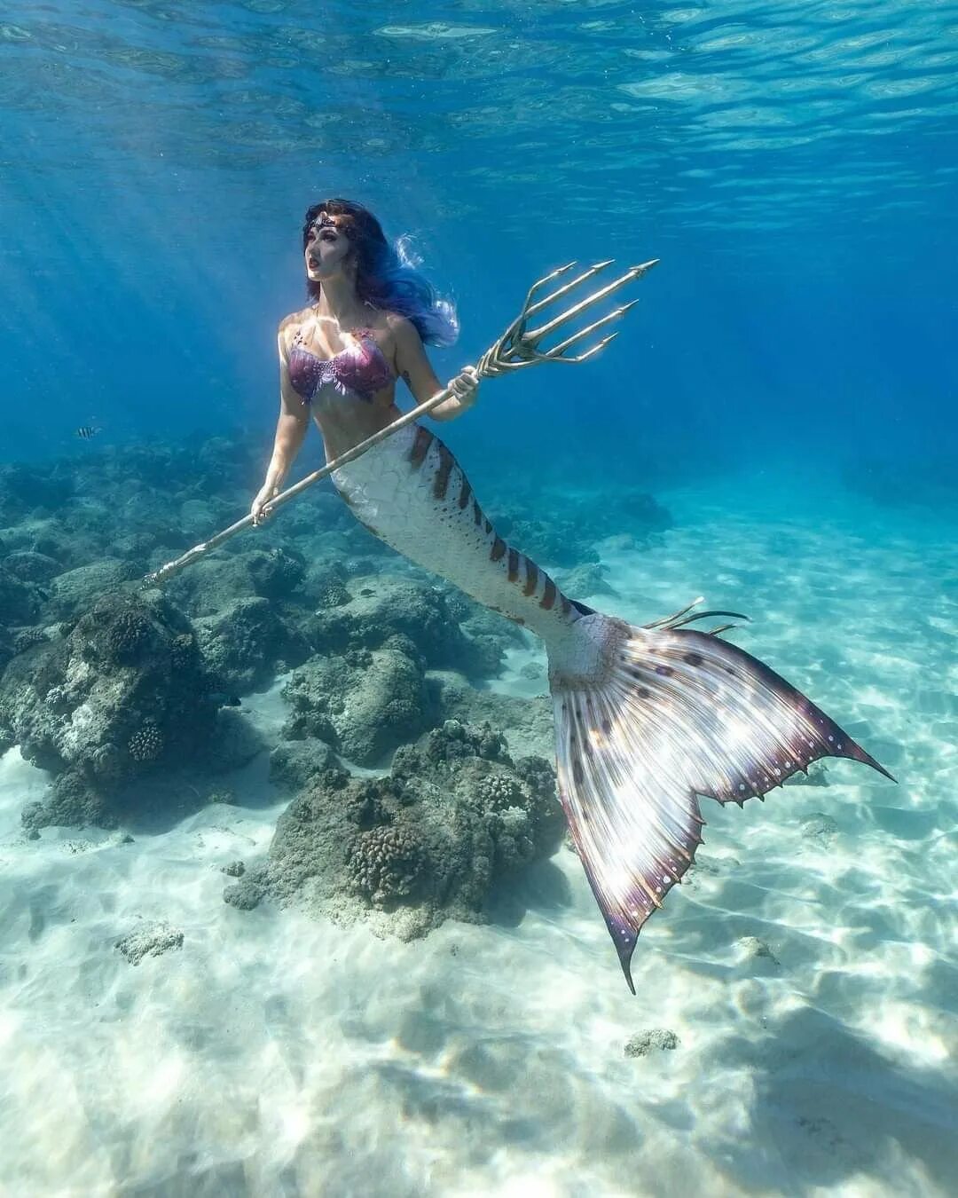 Мермейд мермейд. Русалки. Как выглядят русалки в жизни. Как выглядят русалки в жизни. Выглядит русалка.