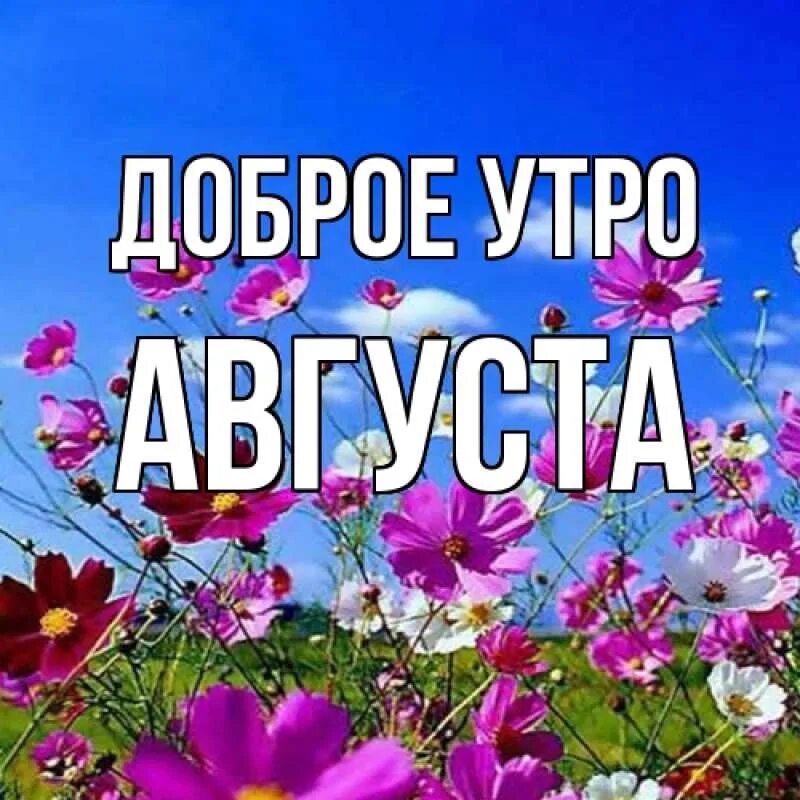 Доброе утро картинки. Доброе утро без войны