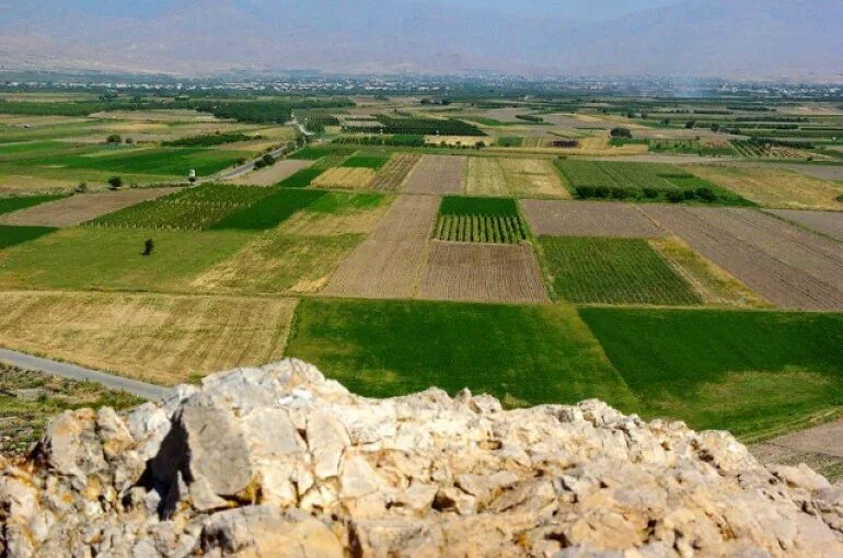 Хозяйство армении. Джанджугазян министр финансов армении. Армянин и сельское хозяйство. Основные отрасли хозяйства армении. Армения пастбища.