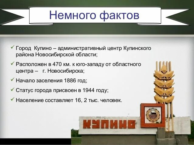 погода купино новосибирская на 10. карта купино купинский район новосибирской области. купино новосибирская область закаменка. карта новосибирской области по районам. село купино новосибирской области.