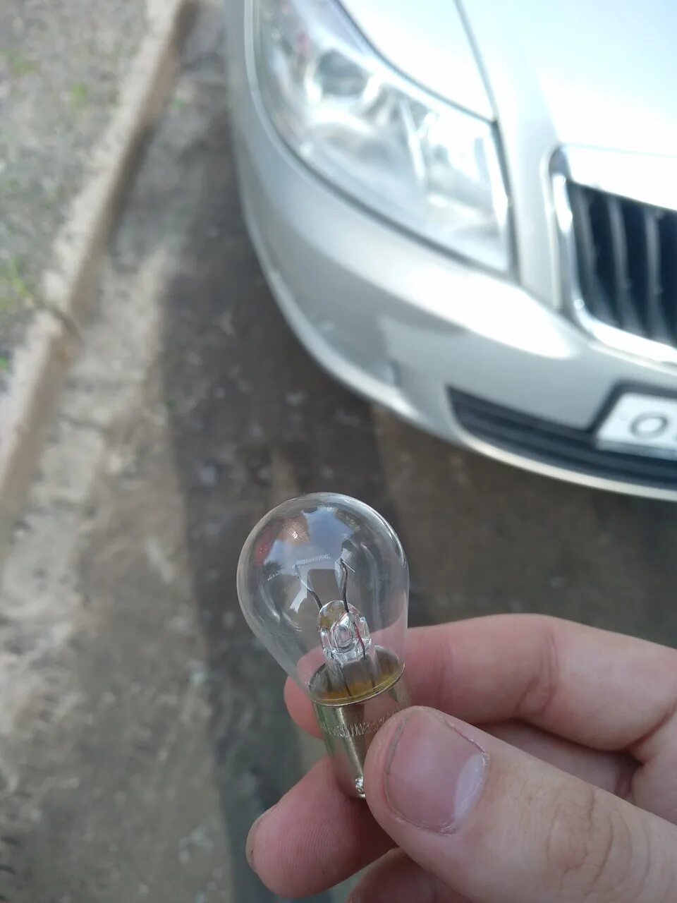 Какие лампы в противотуманках октавии. Какие лампы в противотуманках октавии