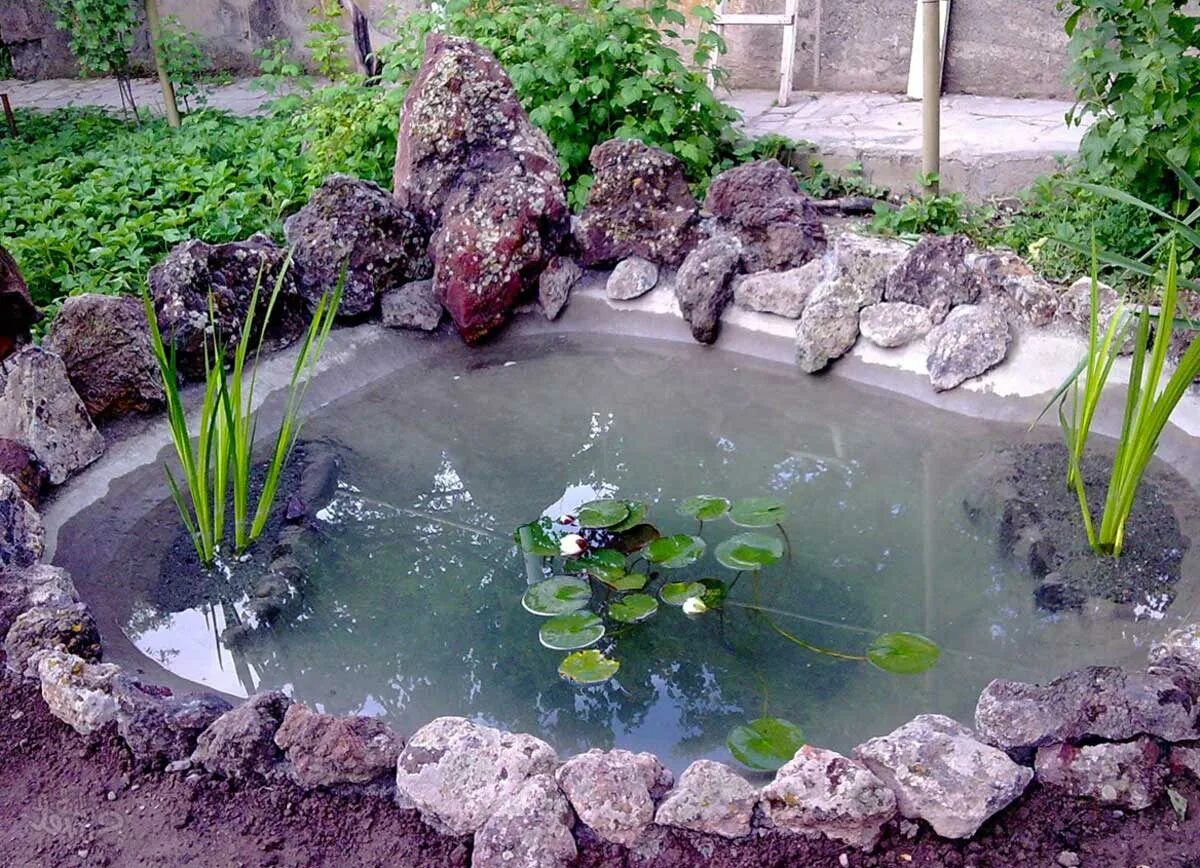 Маленький прудик на даче. Ландшафт садового прудика. Декоративный водоем на даче. Декоративный пруд на даче. Прудик на даче.