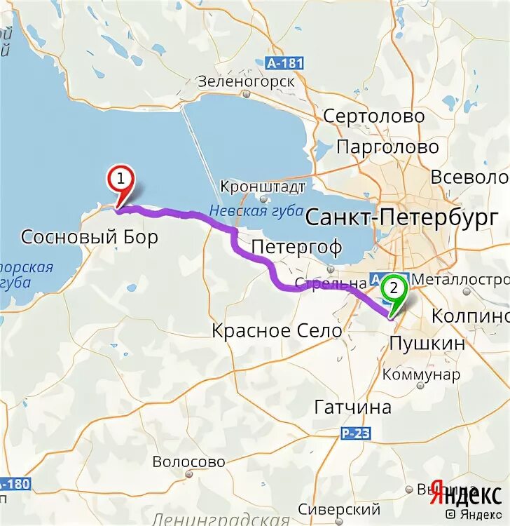 Зеленогорск погода на неделю