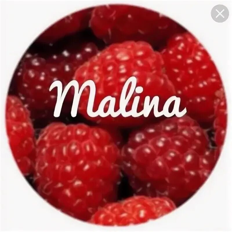 Малинка опт. Малина надпись. надпись малинка. малинка налпист. малина логотип.