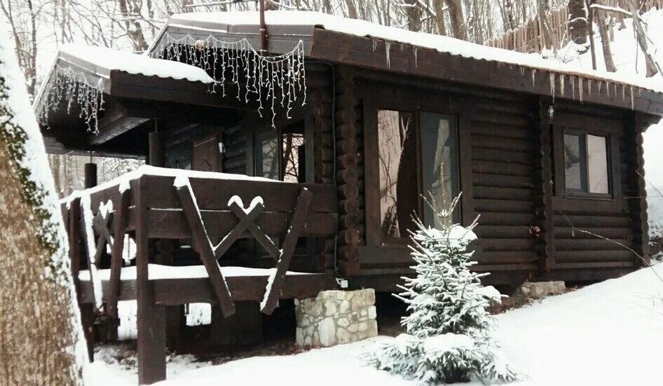 база отдыха хутор калина красная. калина красная отдых. база ранчо простоквашино белокуриха. калина красная отдых. база отдыха хутор калина красная.