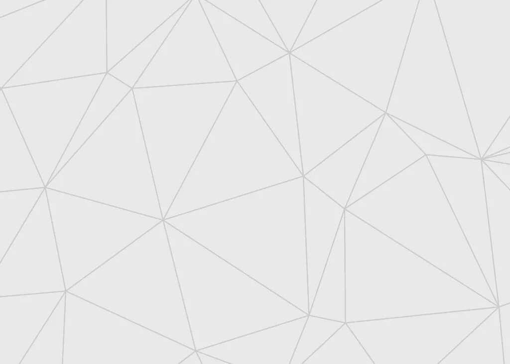 Geometry mesh