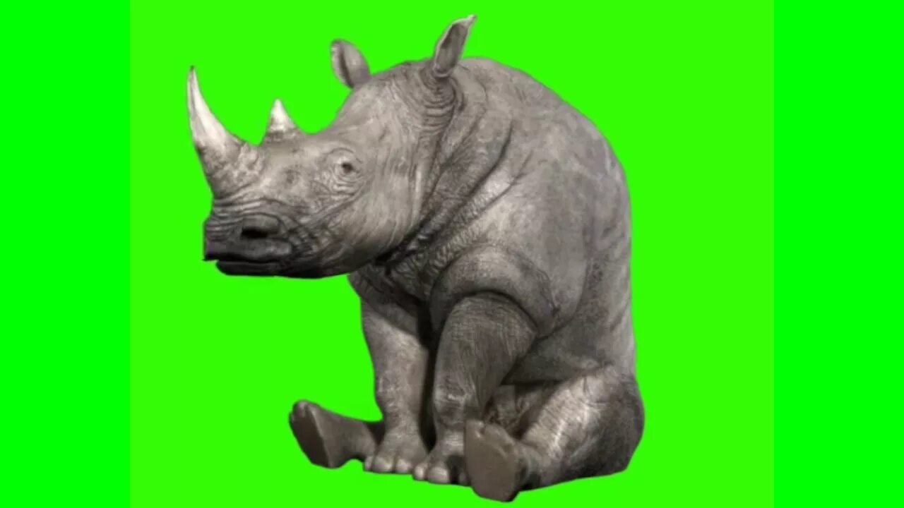 Животные хромакей. Хромакей животные. Хромакей с животными. Заяц футаж. Кабан хромакей.