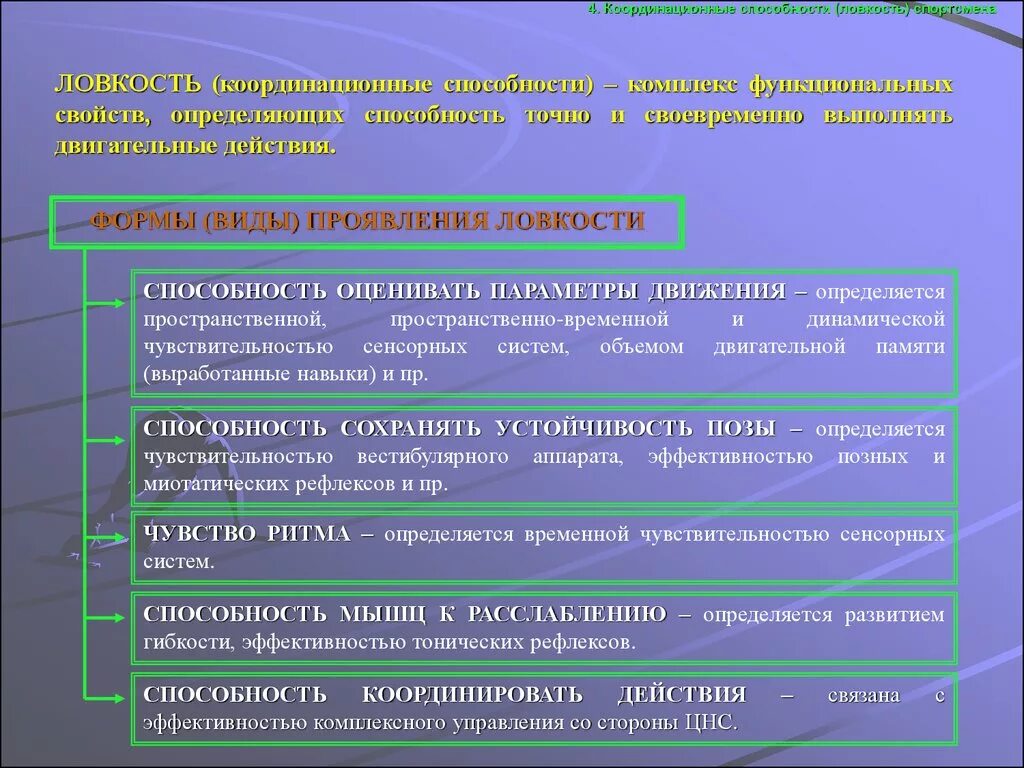 Факторы определяющие развитие способностей. Формы проявления ловкости. Совершенствование координационных способностей. Координационные способности. Разновидности координационных способностей.