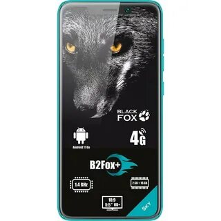Black fox 2