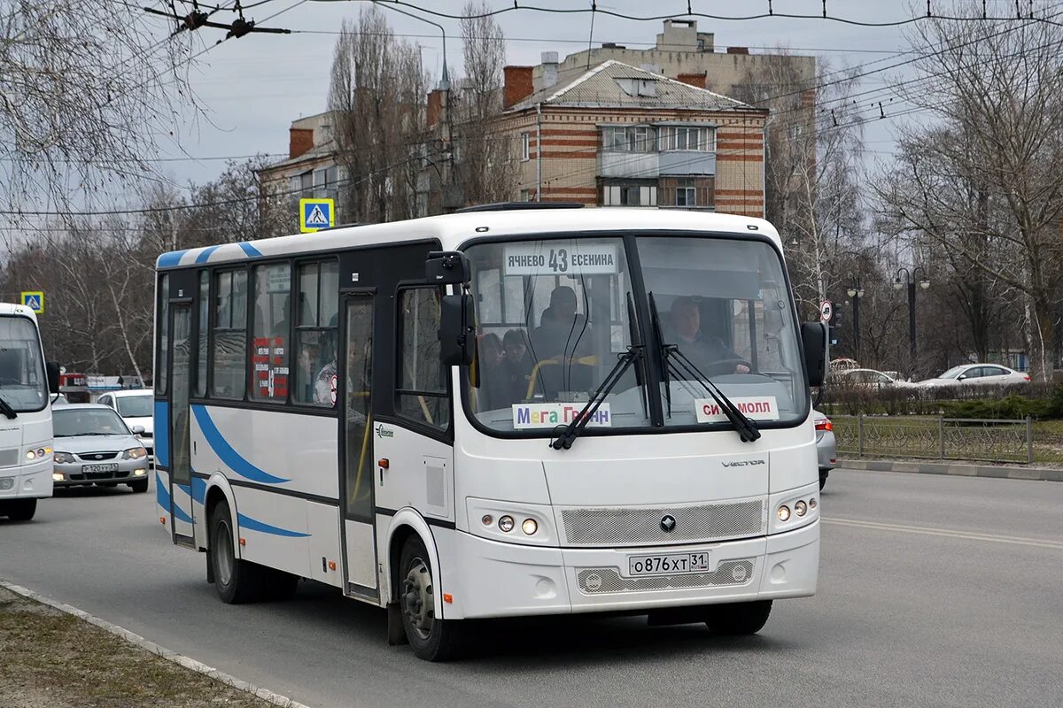 ПАЗ 320412-04. ПАЗ-320412-04 вектор. ПАЗ-320412 05444 о226кк136. Паз 320412 вектор