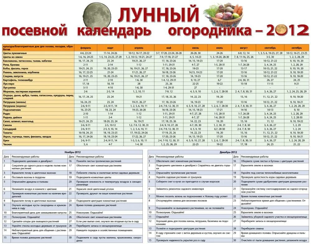 Таблицы садовода огородника. Календарь огородника картинки для презентации. Лунный посевной календарь Хабаровский край. Посевной календарь на 2022 для огородников Хабаровский край. Лунный календарь посадка пересадка растений