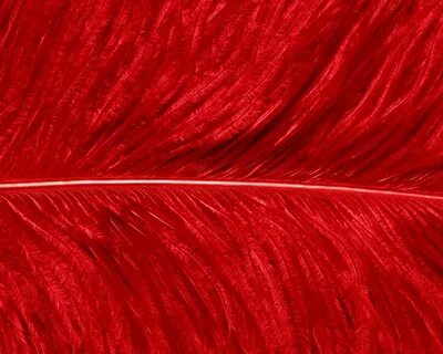 Red 1532