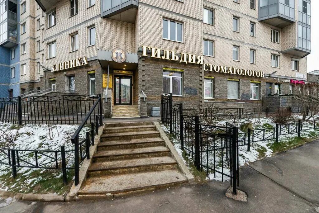 Гильдия стоматологов на типанова. Гильдия стоматологов голландии. Вычегжанина наталья гильдия стоматологов. Хирурги в гильдии стоматологов. Гильдия стоматологов сайт.