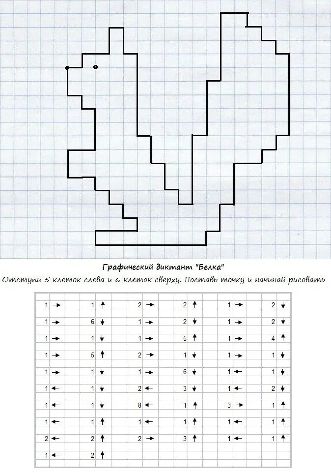 Задания для дошкольников графический диктант. Графический диктант белка по клеточкам для дошкольников. Графический диктант для дошкольников белка. Математический диктант по клеточкам для дошкольников белка. Урок по клеточкам