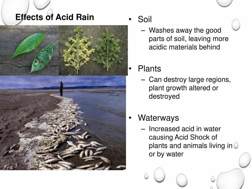 Acid rain перевод 7 класс. Acid Rain Effects. Что такое кислотный дождь на английском. Как решить проблему кислотного дождя на английском. Кислотные дожди это в экологии.