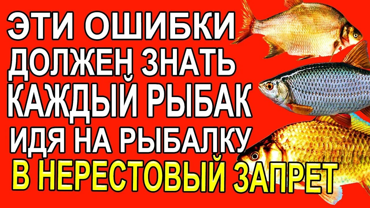 Запрет на ловлю карася. Нерестовый запрет 2025.