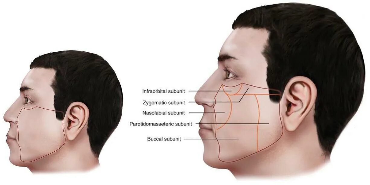 Щека на щеку спид ап. Cheek. Trevien Cheek.