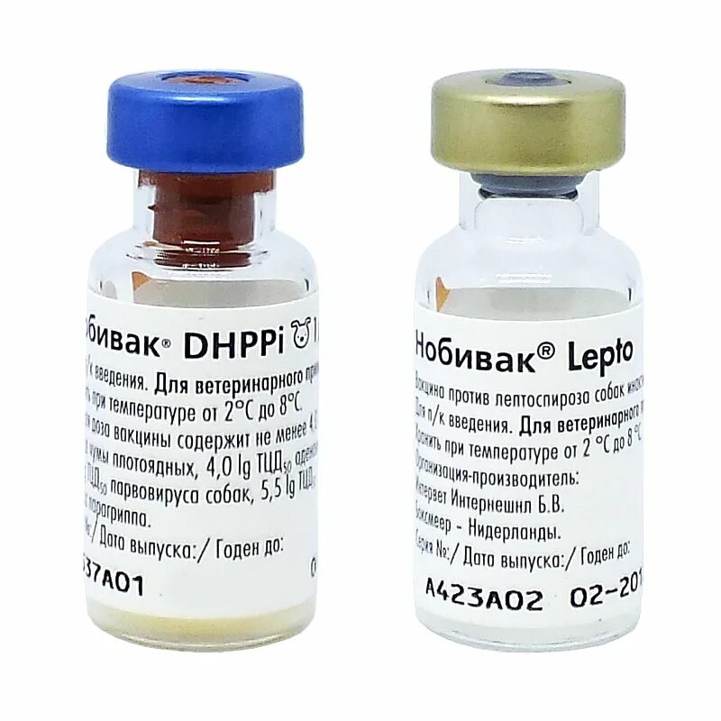 Эурикан для собак производитель. Нобивак DHPPI RL. Nobivac DHPPI. Нобивак DHPPI l4 Rabies. Нобивак DHPPI лепто.