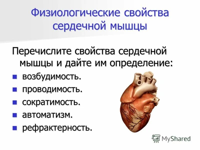 Особенности сердечной мускулатуры. Важное свойство сердечной мышцы. Физиологические свойства сердца. Свойства сердечной мышцы физиология. Основные физиологические свойства сердечной мышцы.