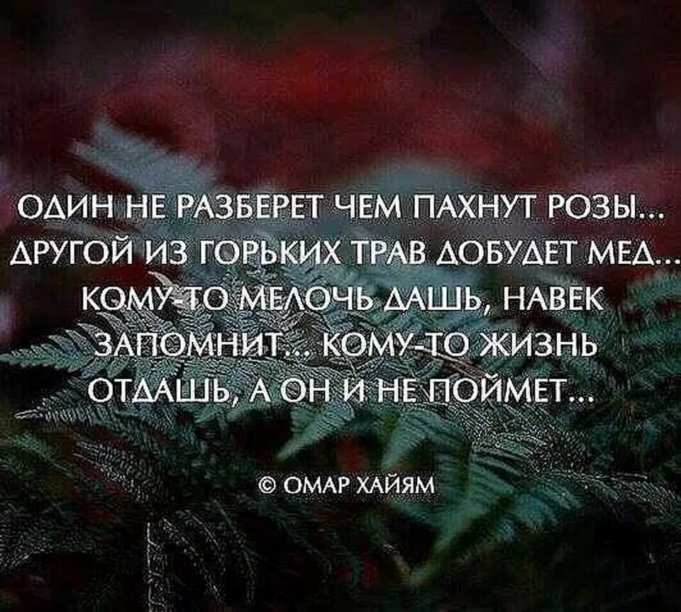 Жизнь отдай не поймет. Цитаты о плохих людях и поступках. Один из горьких трав добудет. Цитаты про хорошее отношение к людям. Цитаты про мир.