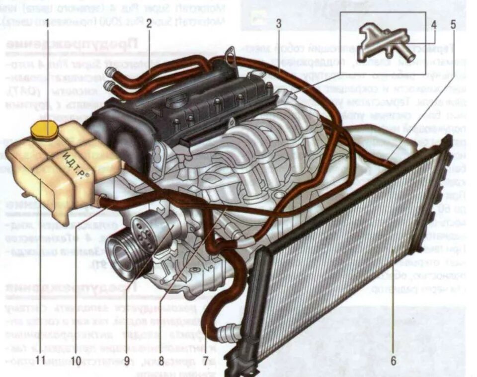 Опрос по системе охлаждения! - Ford C-Max I, 2 л, 2004 года наблюдение DRIVE2