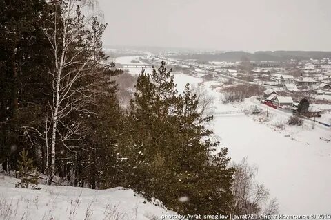 Дома село курьи