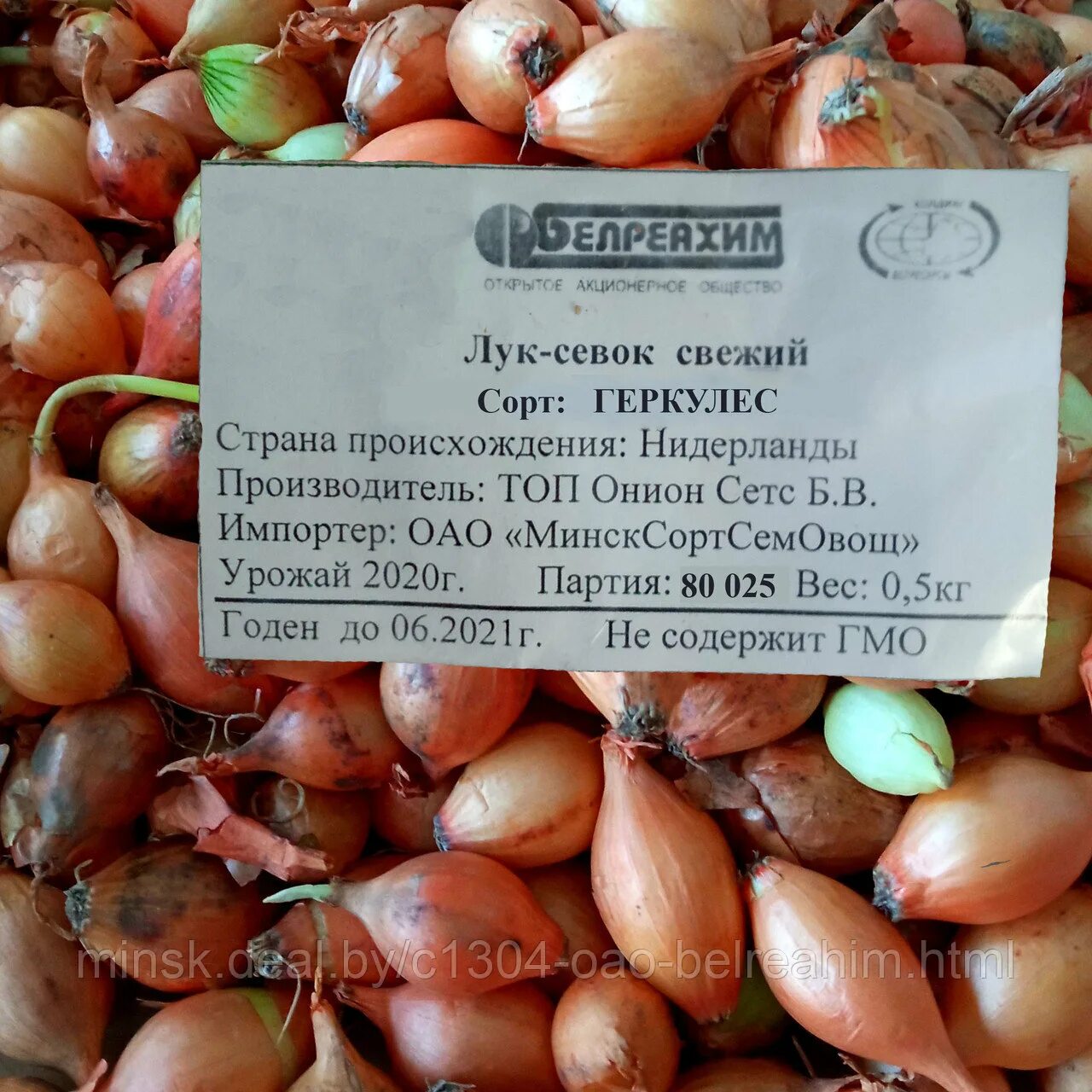 24 отзыва на Лук севок озимый Геркулес, 1 кг. отборный, Голландия от покупателей