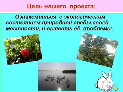 Экологические проекты нашего края