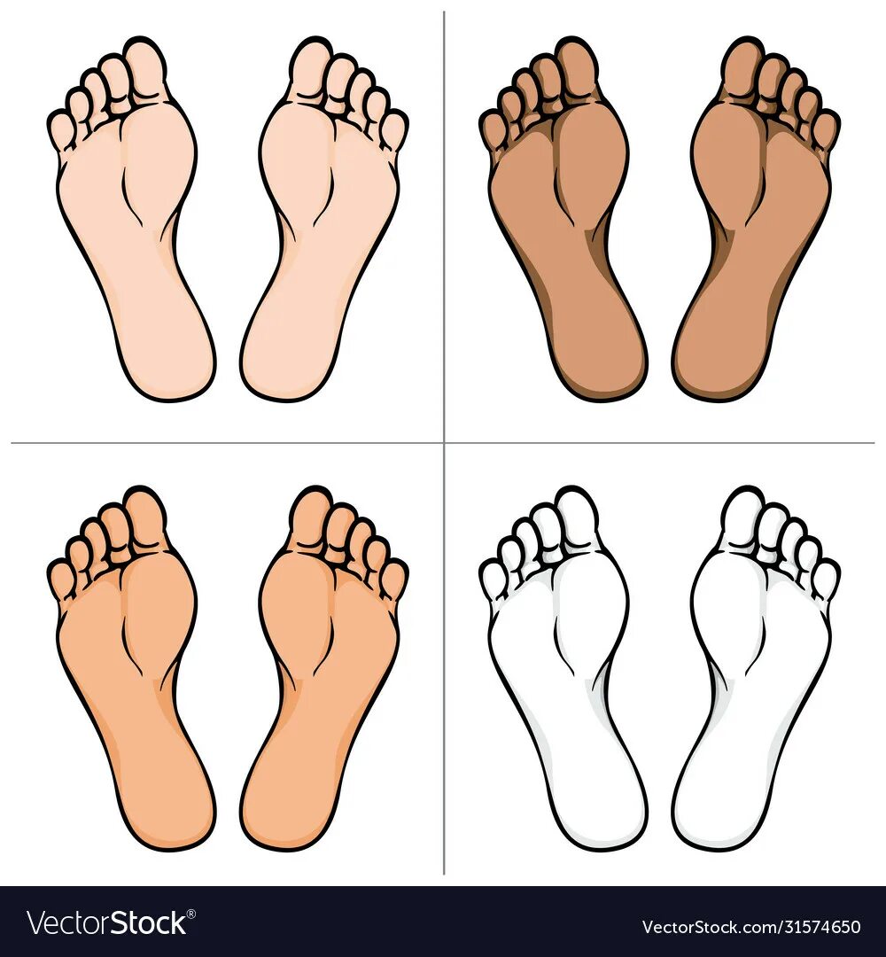 Foot parts. Силуэт стопы. Правая стопа. Подошва стопы рисунок. Ступня правая рисунок.